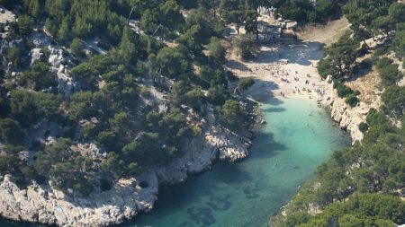 Marseille: un clandestin sous OQTF soupçonné d’avoir allumé un incendie près du parc national des Calanques