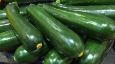 Un virus s’attaquant aux courgettes, concombres et melons détecté pour la première fois en France