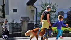 Covid-19 – « Le bonheur de les voir passe avant la peur » : des grands-parents chouchoutent leurs petits-enfants pendant la Toussaint