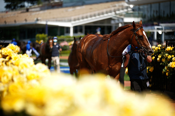 Photo d'illustration. Crédit :     Daniel Pockett/Getty Images for the VRC.