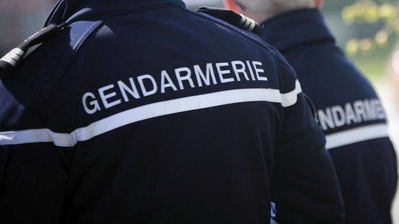 Image d'illustration. (Gendarmerie)