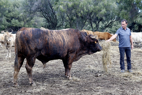 Illustration (PASCAL POCHARD-CASABIANCA/AFP via Getty Images)