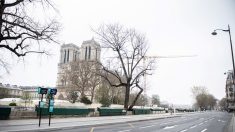 Pour la première fois depuis l’incendie, concert de Noël dans Notre-Dame de Paris