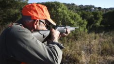 Reconfinement : les chasseurs vont bénéficier de dérogations pour le grand gibier