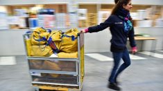 Avec l’explosion des ventes en ligne, La Poste recrute plus de 9000 CDD dans toute la France