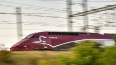 Attaque du Thalys: « on était acculés dans une souricière » raconte un acteur français