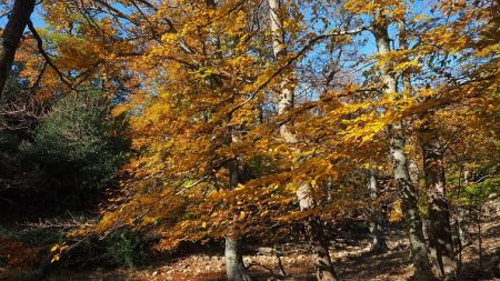 Isère : un cœur de lumières a brillé sur le Grand Colon pour réclamer un accès libre à la nature