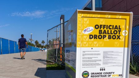 Un avocat demande aux résidents de Géorgie d’obtenir les images des caméras de surveillance des urnes électorales