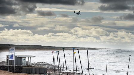 Vendée : ils aperçoivent un dauphin échoué sur la plage et joignent leur force pour le remettre à l’eau