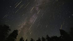 Des pluies de météores et une éclipse pénombrale autour de la nouvelle lune magnifieront le ciel nocturne de novembre