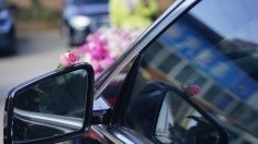 Perpignan : elle inonde les voitures des soignants de bouquets de fleurs