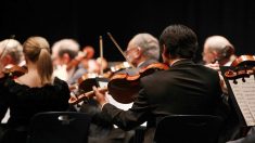 Confinement : dernière image insolite de l’Orchestre philharmonique de Berlin obligé de prendre congé