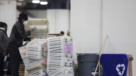 Des dizaines de milliers de bulletins de vote non scellés sont arrivés dans le comté du Michigan, tous pour les démocrates, selon une poursuite judiciaire