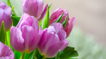 Mayenne : une fleuriste dénoncée pour avoir mis des bouquets en dépôt-vente