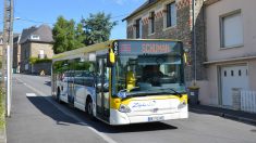 Cherbourg : dépourvu de titre de transport, il injurie le chauffeur de bus, « emmerde la France » et se déchaîne contre le véhicule