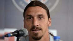 Suède : Zlatan Ibrahimovic achète une vaste forêt à 3 millions d’euros pour chasser et pêcher