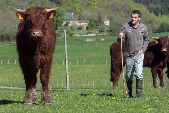 Photo par Thierry Zoccolan / AFP via Getty Images.