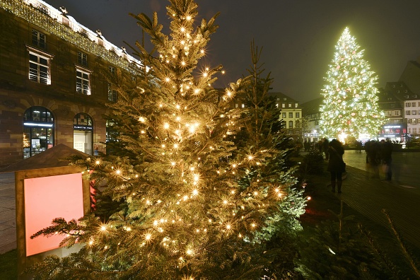 Strasbourg, le 27 novembre 2020. (Photo FREDERICK FLORIN/AFP via Getty Images)