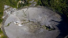 Le télescope géant d’Arecibo s’est effondré