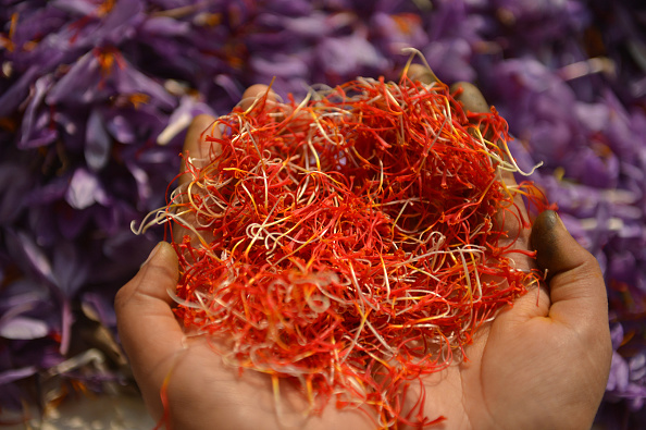 -Un agriculteur du Cachemire montre des pétales de safran après avoir été cueillis sur des fleurs dans une ferme de Pampore, au sud de Srinagar, le 1er novembre 2016. Photo Tauseef Mustapha / AFP via Getty Images.