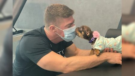 Une petite chienne paralysée et presque morte de faim retrouve l’espoir grâce à un physiothérapeute