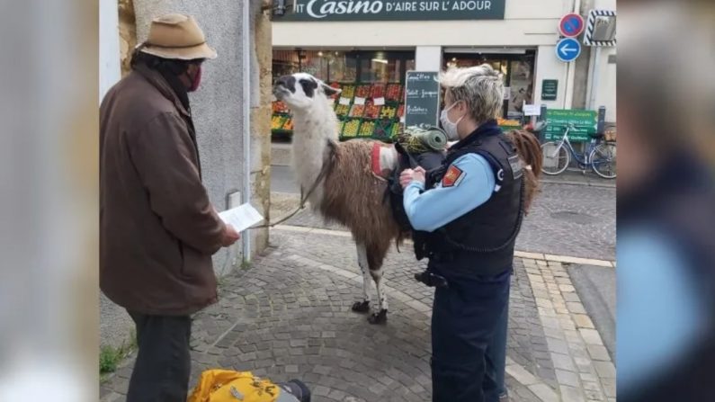 Crédit : Gendarmerie des Landes. 