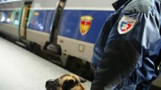 Toulouse : il s’apprête à monter dans un train avec deux pistolets, une cagoule, des sourates du Coran et un tapis de prière