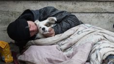 Toulouse : elle recueille un SDF dans la maison de ses parents décédés, un voisin prévient la police pour le chasser