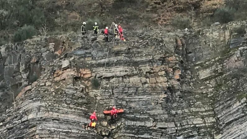 Les pompiers du GRIMP sont descendus en rappel afin de remonter les deux chiens. Crédit : Service départemental d’incendie et de secours de l’Ille-et-Vilaine (SDIS 35). 