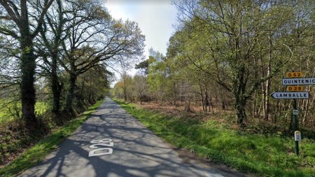 Côtes-d’Armor : une route fermée pendant trois mois pour épargner grenouilles et autres batraciens