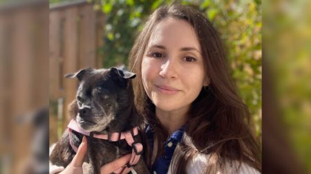 Un chien âgé abandonné dans un sac plastique sur le bord de la route se rétablit et trouve une nouvelle maison