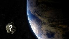 L’astéroïde YR4 a désormais 3,1% de chances de frapper la Terre en 2032, le plus haut niveau jamais enregistré