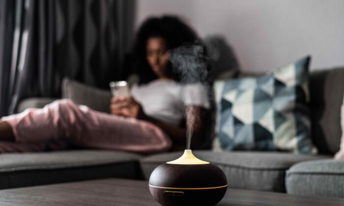 Les humidificateurs peuvent ajouter de l'humidité à l'air intérieur qui a tendance à être sec, même pendant les périodes plus humides de l'année. (avid Prado Perucha / Shutterstock)