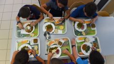 Un enfant de 7 ans exclu de la cantine pour factures impayées en Gironde : la Défenseure des droits ouvre une enquête