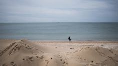 La Baule : un énorme pan de falaise s’écroule sur la côte sauvage du Pouliguen