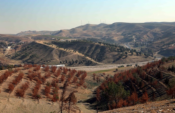 -Une vue des chênes à Arbil, la capitale de la région autonome kurde du nord de l'Irak, le 12 janvier 2021. Photo par Safin Hamed / AFP via Getty Images.