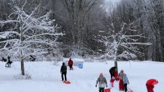 Alsace : une adolescente de 17 ans se tue dans un accident de luge, sa sœur grièvement blessée