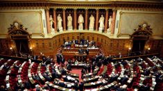 Le Sénat vote la création d’un nouveau crime sexuel sur mineurs de moins de 13 ans