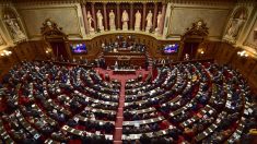 Pass sanitaire : le Sénat adopte le projet de loi, largement modifié