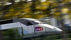 Leur chien meurt de chaleur dans un train, la SNCF leur offre un bon d’achat