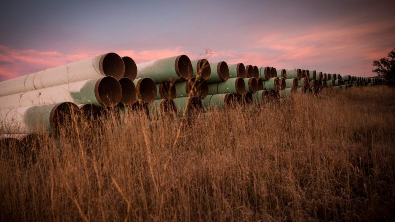 Des kilomètres de tuyaux inutilisés, préparés pour le projet de pipeline Keystone XL, sur un terrain à l'extérieur de Gascoyne, N.D., le 14 octobre 2014. (Andrew Burton/Getty Images)