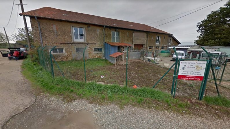 SLPA (Société Lorraine Protectrice des Animaux) d'Amance en Lorraine | Google Maps