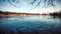 Angleterre : il plonge dans un lac gelé pour secourir un chien pris au piège (vidéo)