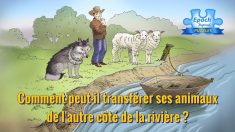 Pouvez-vous transférer ces animaux de l’autre côté de la rivière dans un bateau qui ne peut en contenir que deux à la fois ?