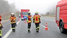 Vaucluse : un plat de rougail-saucisse s’encastre dans son pare-brise sur l’A7