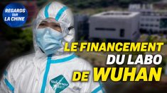 Focus sur la Chine – Laboratoire de Wuhan : qui finance qui ?