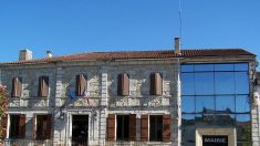 Dordogne : les grenouilles de Grignols seront peut-être sauvées par la cour de cassation