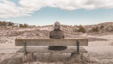 Elle apprend son adoption à 54 ans et recherche depuis ses parents biologiques