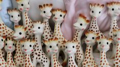 Sophie la girafe fête ses 60 ans et… change sa garde-robe !