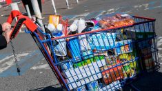 La Rochelle : trois amis remplissent le frigo des étudiants en situation précaire